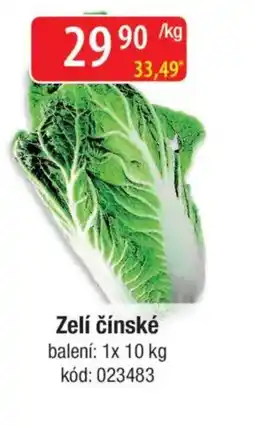 Qanto Zelí čínské nabídka