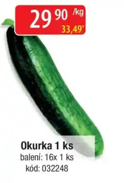 Qanto Okurka nabídka