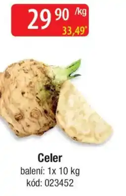 Qanto Celer nabídka