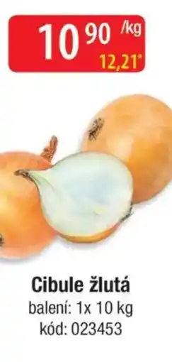 Qanto Cibule žlutá nabídka