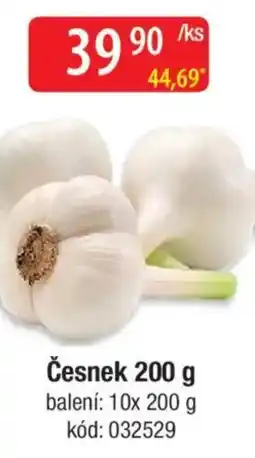 Qanto Česnek nabídka