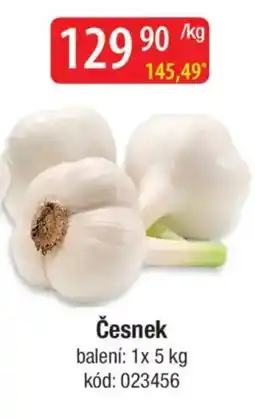 Qanto Česnek nabídka