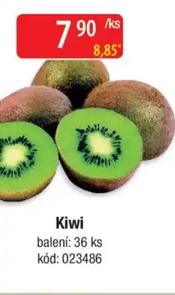 Qanto Kiwi nabídka