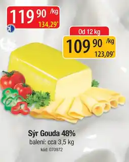 Qanto Sýr Gouda 48% nabídka