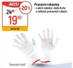 Globus Pracovní rukavice nabídka