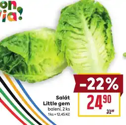 Billa Salát Little gem nabídka