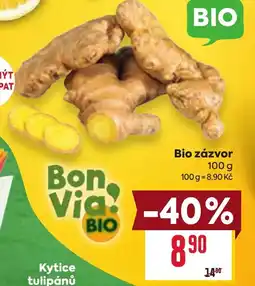 Billa Bio zázvor nabídka