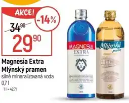 Globus Magnesia Extra Mlýnský pramen nabídka