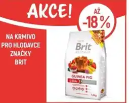 Globus Na krmivo pro hlodavce značky brit nabídka