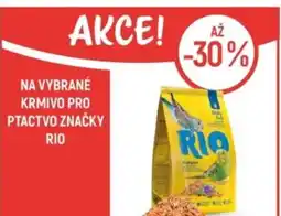 Globus Na vybrané krmivo pro ptactvo značky rio nabídka