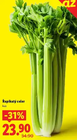 Lidl Řapíkatý celer nabídka