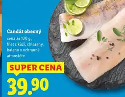 Lidl Candát obecný nabídka