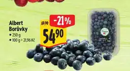 Albert Borůvky nabídka