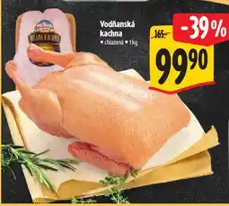 Albert Vodňanská kachna nabídka