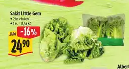 Albert Salát little gem nabídka