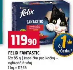 Terno FELIX FANTASTIC 12x 85 g kapsička pro kočky vybrané druhy nabídka