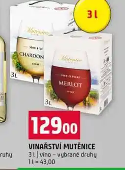 Terno VINAŘSTVÍ MUTĚNICE 3l vino vybrané druhy nabídka