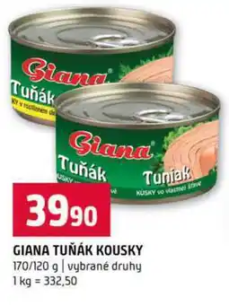Terno GIANA TUŇÁK KOUSKY 170/120 g vybrané druhy nabídka