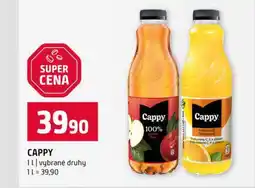Terno CAPPY 1l vybrané druhy nabídka