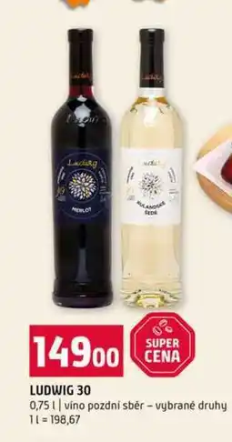 Terno LUDWIG 30 0,75l víno pozdní sběr vybrané druhy nabídka