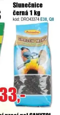 EVA Slunečnice černá nabídka