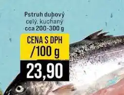 Jip Pstruh duhový celý, kuchaný cca 200-300 g 100g nabídka