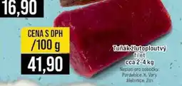 Jip Tuňák žlutoploutvý filet cca 2-4 kg 100g nabídka
