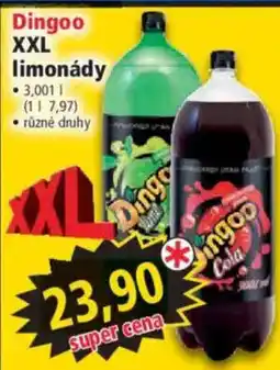 Norma Dingoo XXL limonády nabídka