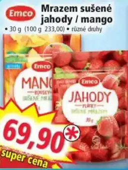 Norma Emco Mrazem sušené jahody / mango nabídka
