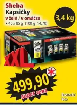 Norma Sheba Kapsičky v želė / v omáčce nabídka