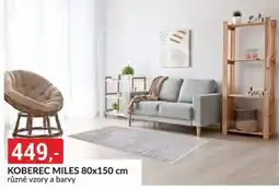 Baumax Koberec miles 80x150 cm nabídka