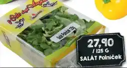 Jip Salát polníček nabídka