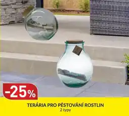 Baumax Terária pro pěstování rostlin nabídka