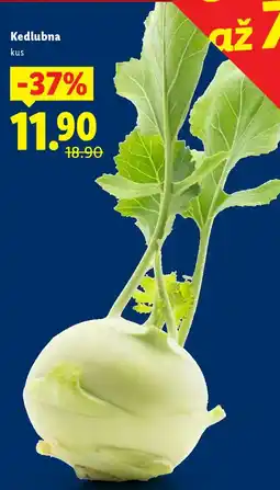 Lidl Kedlubna nabídka