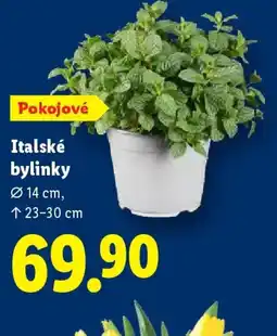 Lidl Italské bylinky nabídka