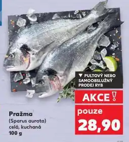 Kaufland Pražma nabídka