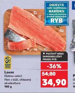 Kaufland Losos nabídka