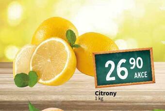 Terno Citrony nabídka