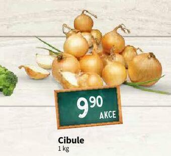 Terno Cibule nabídka