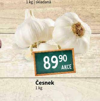 Terno Česnek nabídka