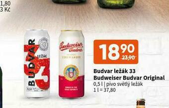 Terno Pivo budvar nabídka