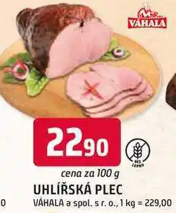 Trefa UHLÍŘSKÁ PLEC nabídka