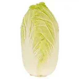 Trefa Zelí pekingské nabídka