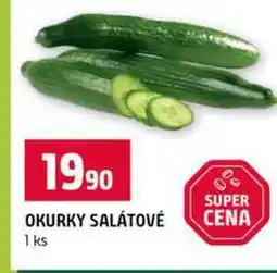 Terno OKURKY SALÁTOVÉ 1ks nabídka