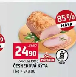 Terno ČESNEKOVÁ KÝTA nabídka