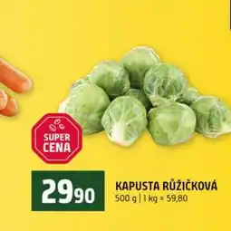 Terno KAPUSTA RŮŽIČKOVÁ nabídka