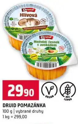 Terno DRUID POMAZÁNKA 100 g vybrané druhy nabídka