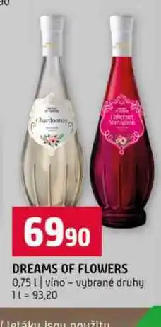 Terno DREAMS OF FLOWERS 0,75l vino vybrané druhy nabídka