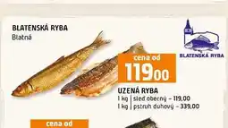 Terno UZENÁ RYBA 1 kg sled obecný nabídka