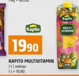 Terno KAPITO MULTIVITAMIN 1l nektar nabídka
